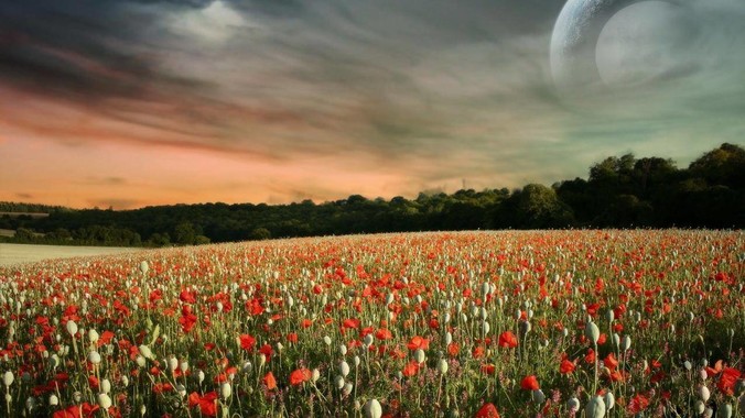 如何评价网易国产动作冒险单机新作《归唐》首支预告片？